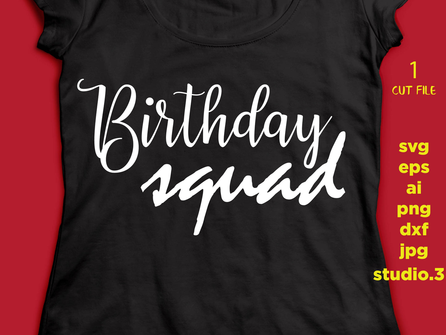 Birthday squad svg - birthday svg file -birthday design for cameo and cricut svg, png, dxf, eps, cut file, jpg