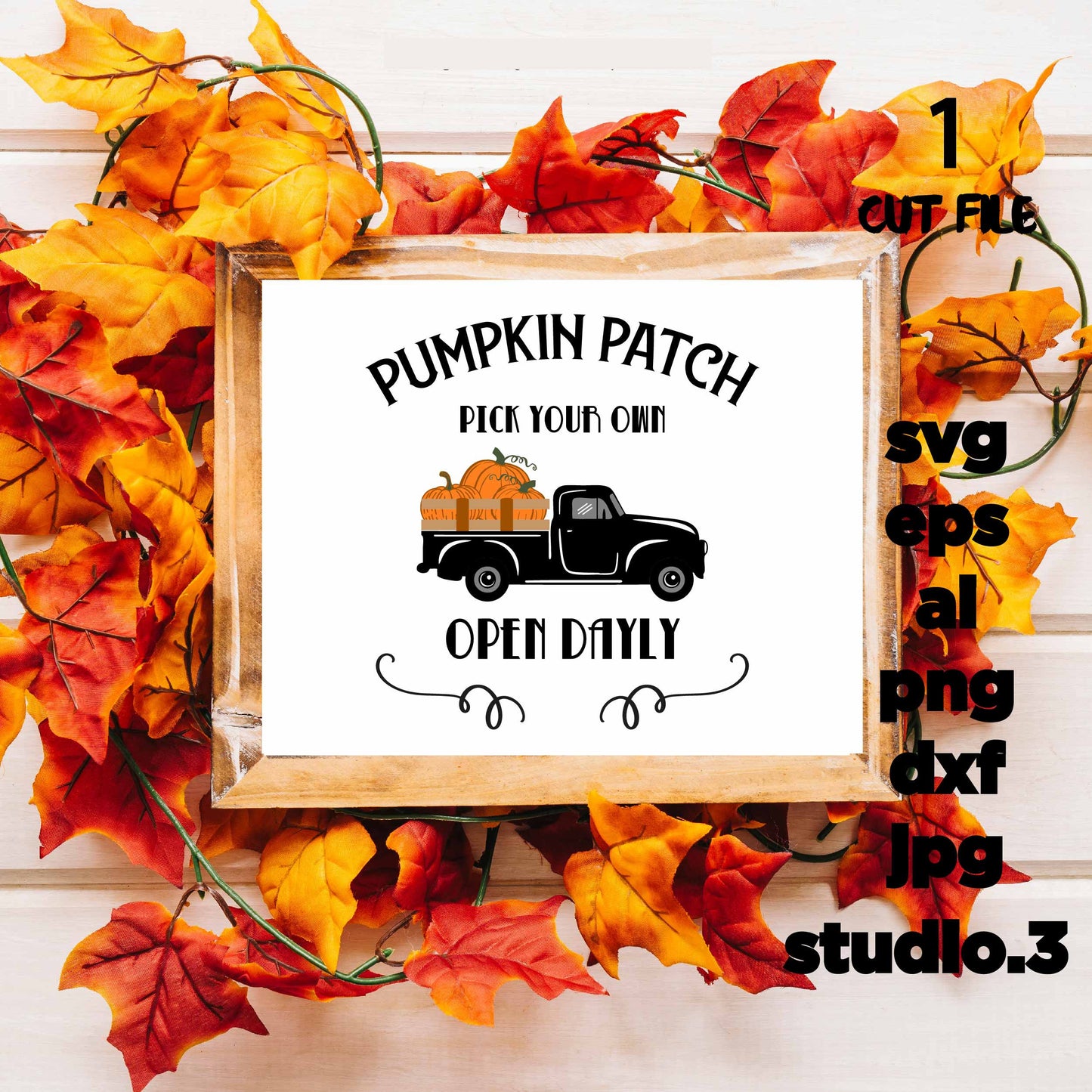 Pumpkin patch, Pumpkin Farm, pumpkin Svg, DXF, eps, png, jpg mirror for paper on transfer, cut file, for cricut or silhouette