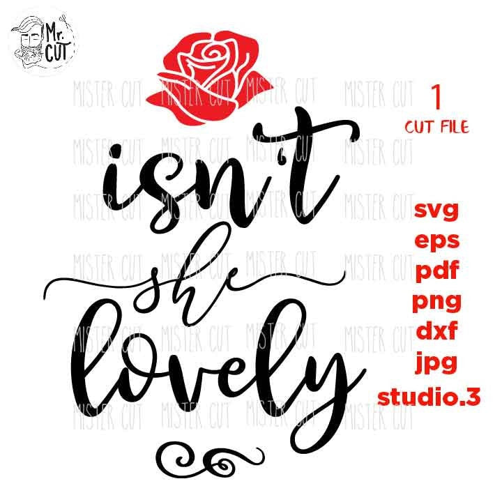 Isn't She Lovely svg, Baby Toddler Girl SVG, DXF, EpS, cut file, jpg reverse, baby svg, newborn svg, baby Announcement, Cute Girl shirt