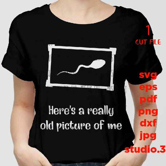 Here's A Really Old Picture Of Me SVG, dxf, jpg transfer, cut file, Funny Signs, funny tee shirt Sperm Gifts for Dad T-Shirt, Man Cave Signs