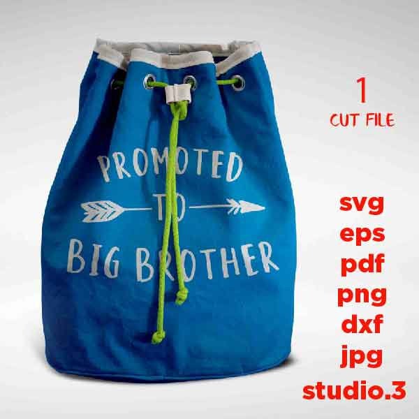 Promoted To Big Brother svg, big brother svg, little brother svg, hello world SVG, DXF, jpg reverse cut file, Newborn SVG, baby svg