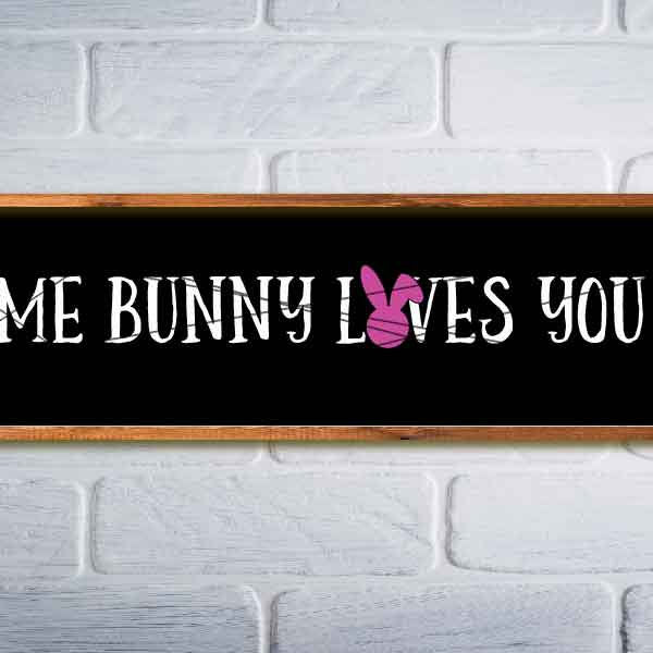 Some Bunny Loves You svg, Easter, Home Decor, SVG, DxF, EpS, studio.3, png, jpg transfer, love svg, Bunny svg, Spring svg, Easter Sign svg