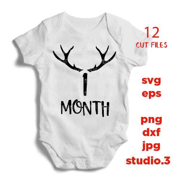 Antler theme Baby Monthly, SVG, DxF, EpS, cut file, png, jpg, 12 Month Set Outfit, First Year Milestone Set Cut file, baby bodysuit svg