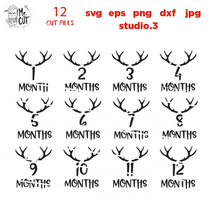 Antler theme Baby Monthly, SVG, DxF, EpS, cut file, png, jpg, 12 Month Set Outfit, First Year Milestone Set Cut file, baby bodysuit svg