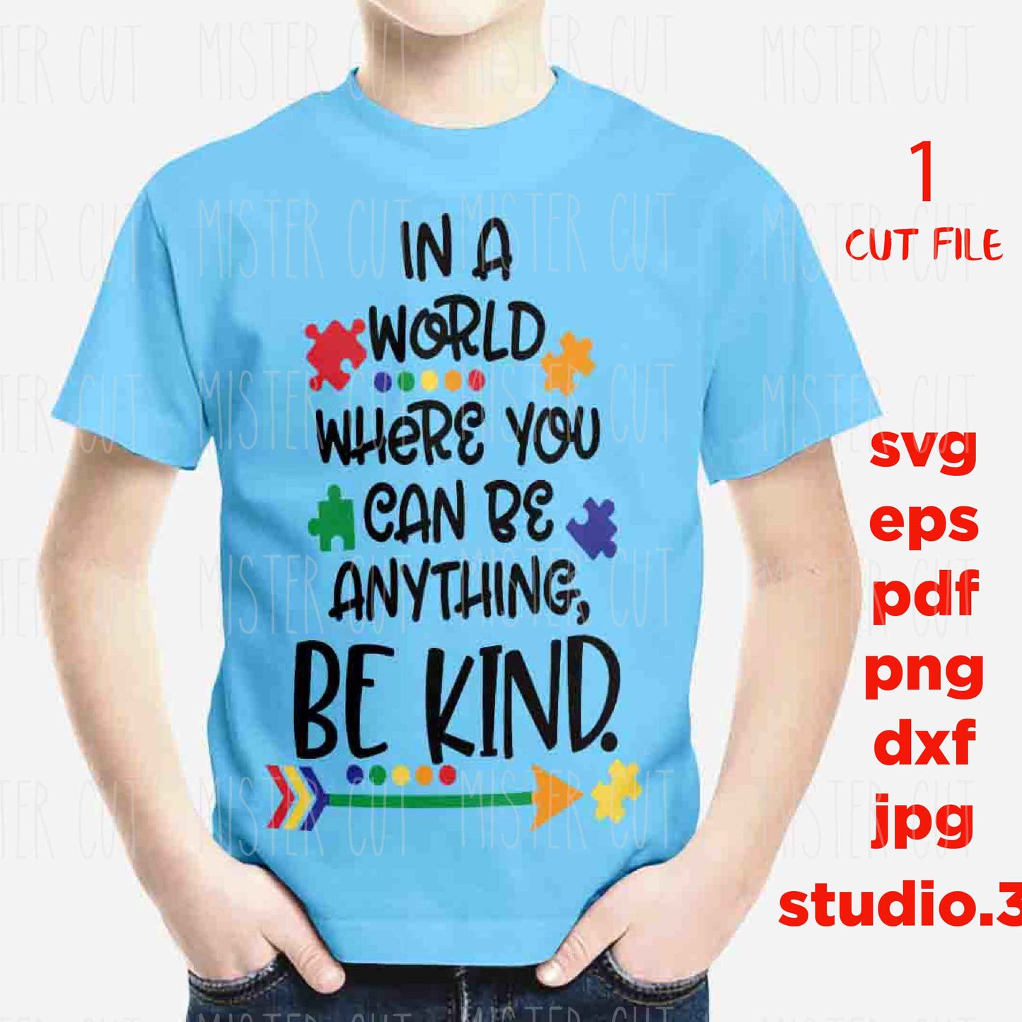 In a World where you can be Anything Be Kind SVG, Be Kind Autism Awareness SVG, Be Kind DxF, EpS, cut file, Cut file, jpg transfer