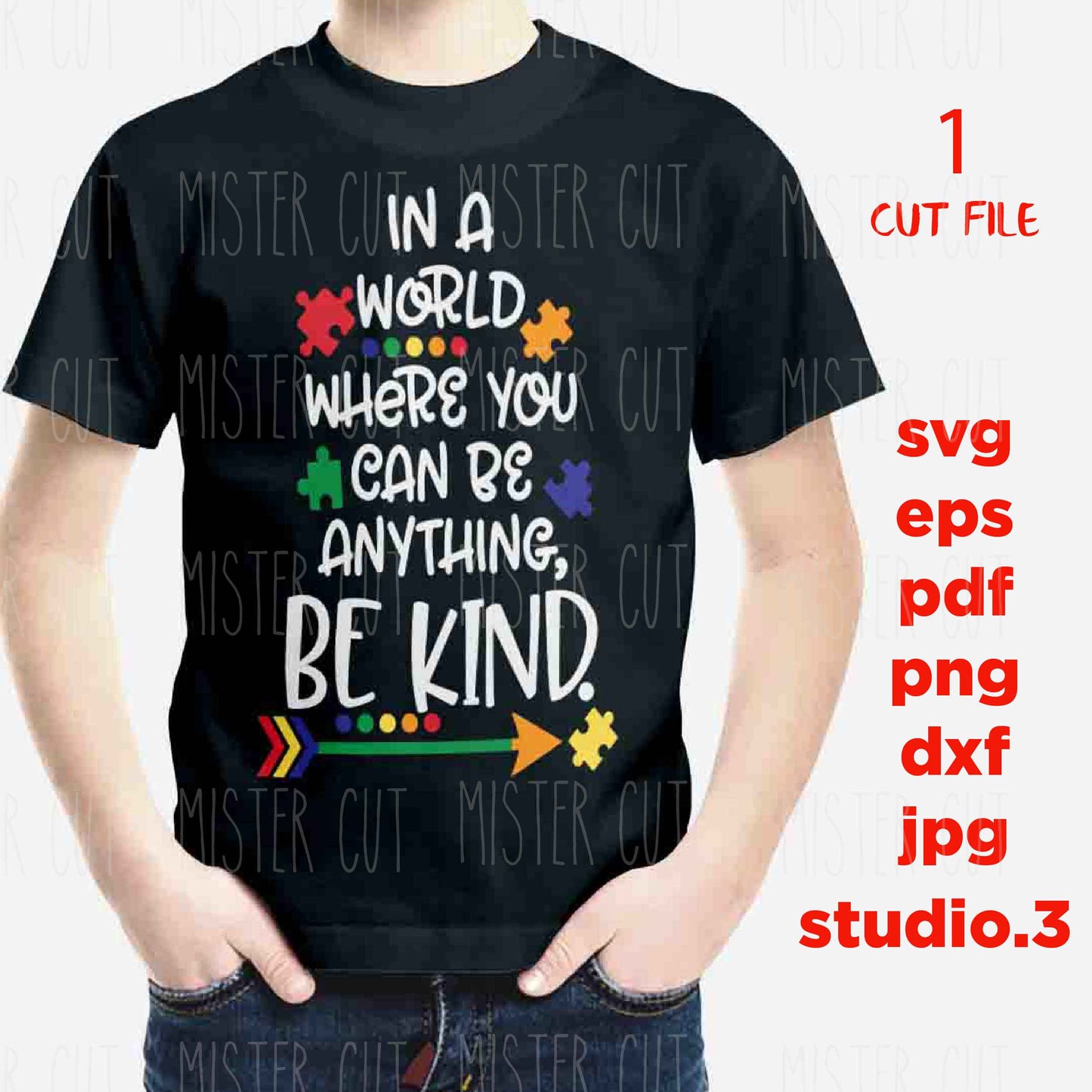 In a World where you can be Anything Be Kind SVG, Be Kind Autism Awareness SVG, Be Kind DxF, EpS, cut file, Cut file, jpg transfer