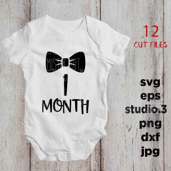 Bowtie Theme Baby Monthly, SVG, DxF, EpS, cut file, png, jpg, 12 Month Set Outfit, First Year Milestone Set Cut file, baby bodysuit svg