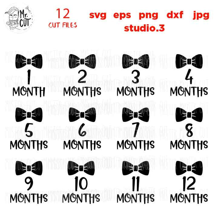 Bowtie Theme Baby Monthly, SVG, DxF, EpS, cut file, png, jpg, 12 Month Set Outfit, First Year Milestone Set Cut file, baby bodysuit svg