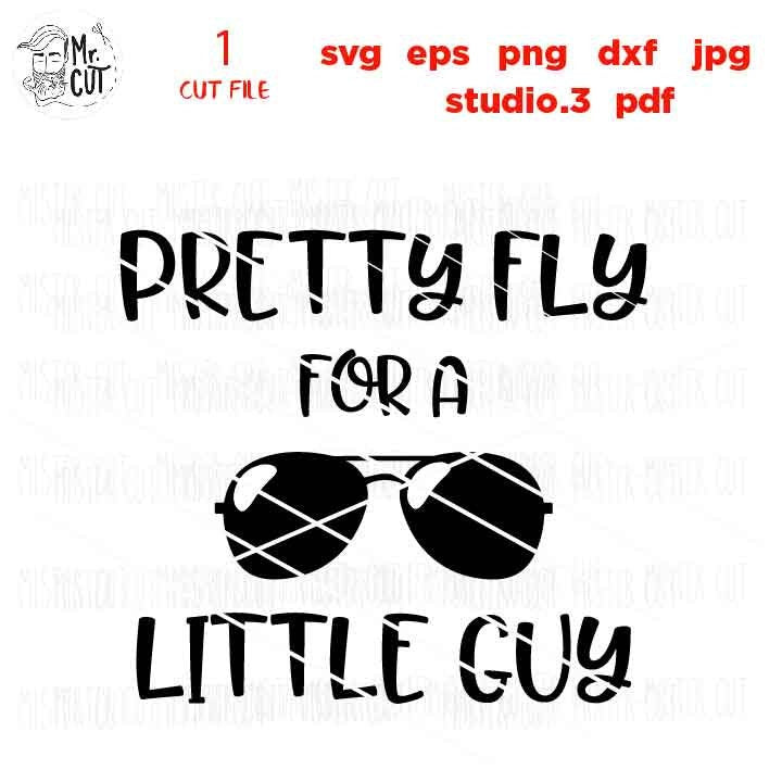 Pretty fly for a little guy, Funny Baby Svg, baby svg, Dxf, mirrored jpg, cut file,Baby SVG, boy bodysuit svg, Baby shower svg, Newborn SVG