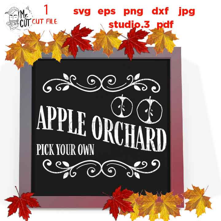 Apple Orchard SVG, Apple svg, autumn svg, Fall SVG,  DxF, EpS, cut file, jpg mirrored,  Pick your own svg, apple orchard sign, harvest