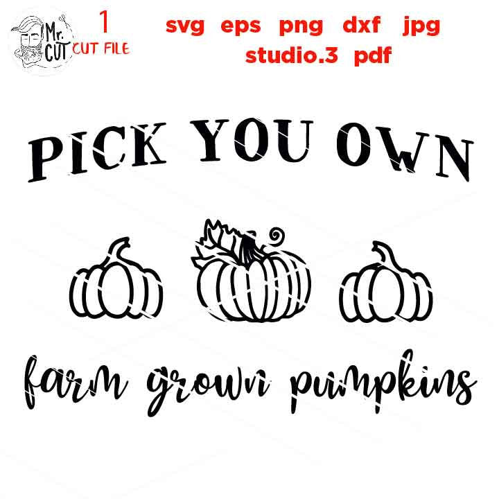 Pumpkin SVG, fall svg, farm fresh pumpkins svg, pick your own pumpkin svg,  Fall SVG,  DxF, EpS, cut file, jpg mirrored, autumn svg