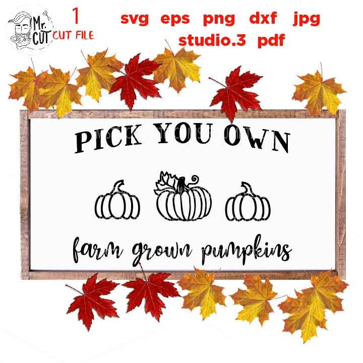 Pumpkin SVG, fall svg, farm fresh pumpkins svg, pick your own pumpkin svg,  Fall SVG,  DxF, EpS, cut file, jpg mirrored, autumn svg