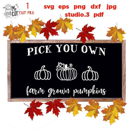 Pumpkin SVG, fall svg, farm fresh pumpkins svg, pick your own pumpkin svg,  Fall SVG,  DxF, EpS, cut file, jpg mirrored, autumn svg