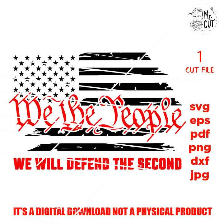 American Flag cut file, we the people SVG, patriot svg, defend the Second Amendment, independence day svg, patriotic shirt, USA flag