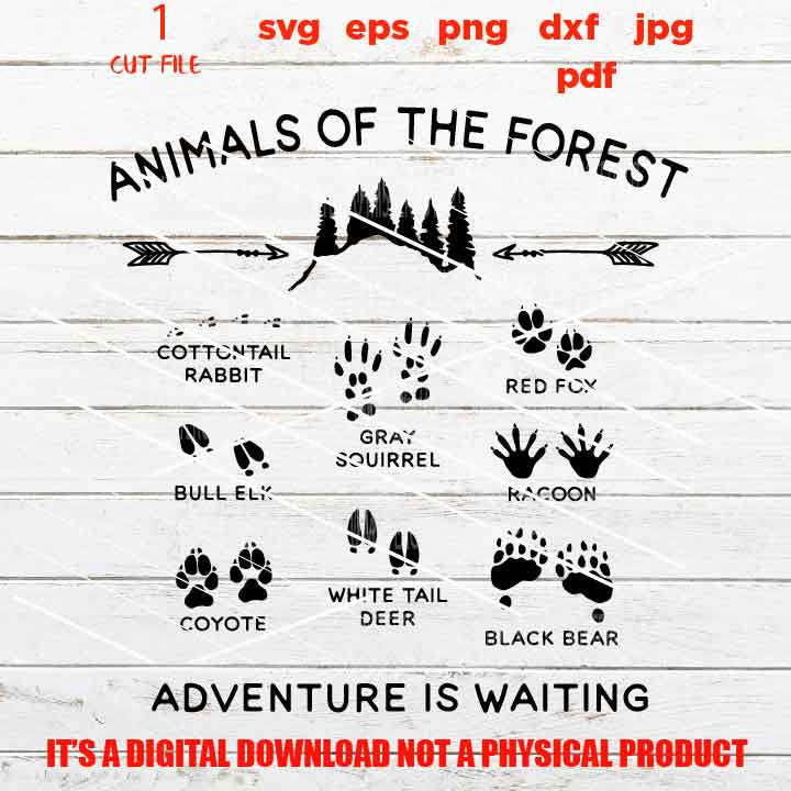 Animals of the Forest svg, Housewarming dxf, jpg, Nursery Decor, Wanderland, Wild Thing Wild One  png, pdf eps, vector design cut file