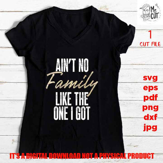 Family SVG, Aint No Family Like The One I Got svg, Family Reunion sign SVG, Family SVG, dxf, jpg transfer, cut file, png, vector design