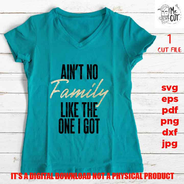 Family SVG, Aint No Family Like The One I Got svg, Family Reunion sign SVG, Family SVG, dxf, jpg transfer, cut file, png, vector design