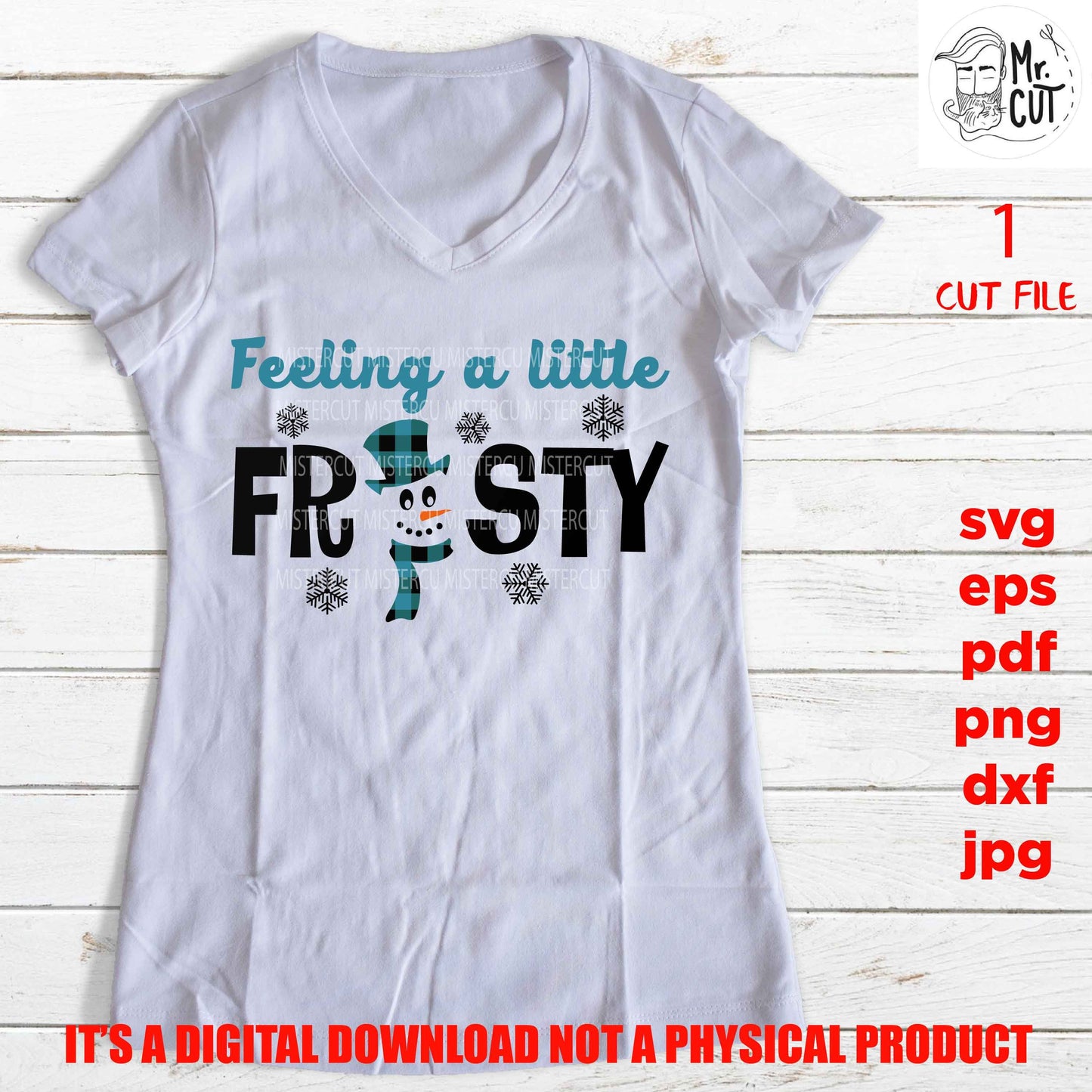 feeling a little frosty Svg, Snowman, Kids Christmas Svg, Winter Shirt, Snow Cute, Santa svg, DxF, EpS, cut file, jpg, png